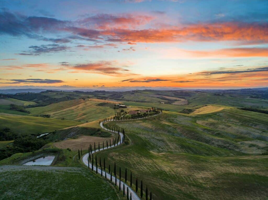 A beautiful sunset over rolling hils with a windy tree-lined road going through them